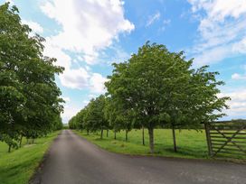 A tree-lined road leading to a gate at Bramble Cottage in Babcary near Lydford-On-Fosse