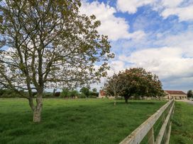 A landscape with trees and a fence at Bramble Cottage in Babcary near Lydford-On-Fosse