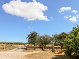 A rural scene with trees, sheep, and a gravel path at Crabtree Cottage in Suffield near Scalby