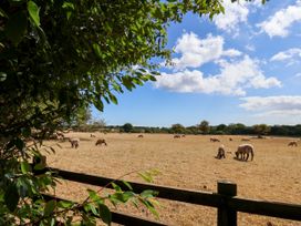 A field with sheep grazing at Crabtree Cottage Suffield near Scalby