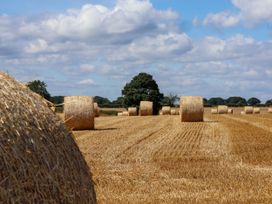 A field with hay bales and a tree at Crabtree Cottage Suffield near Scalby