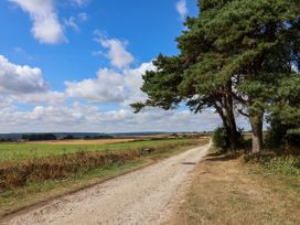 A dirt road bordered by trees and fields at Crabtree Cottage Suffield near Scalby