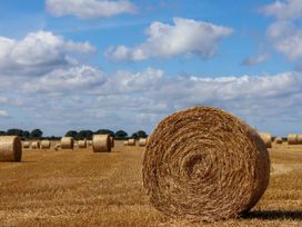 A field with hay bales under a blue sky at Crabtree Cottage, Suffield near Scalby