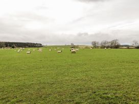 Pasture View - Northumberland - 1034912 - thumbnail photo 27