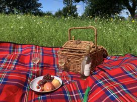 A picnic setup with a wicker basket two glasses of white wine a bottle of white wine and a plate of fruit on a red check blanket in a flower meadow at The Farmhouse in Newport Pembrokeshire
