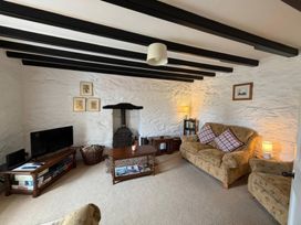 A snug with a television and a fireplace at Derlwyn Newport, Pembrokeshire