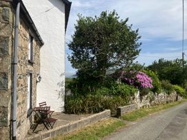 An outdoor scene with a stone wall, tree, and flowers at West End Cottage in Newport, Pembrokeshire