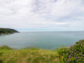 A view of the ocean and sky with green grass and flowers at Clifftop Carriage in Aberporth, Ceredigion