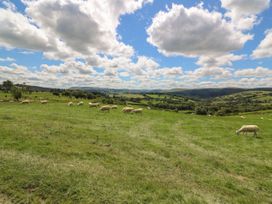 Marches Way - Mid Wales - 1036995 - thumbnail photo 13