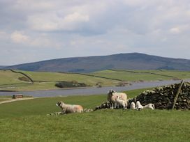 Wren Lodge - Yorkshire Dales - 1037247 - thumbnail photo 20