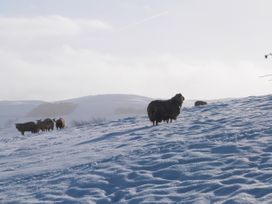 Wren Lodge - Yorkshire Dales - 1037247 - thumbnail photo 26