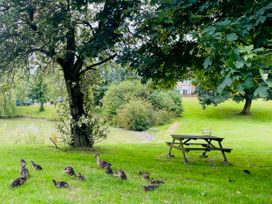 A grassy park area with a tree a picnic table a chair and ducks near a pond at 1 Church Barns in Pocklington