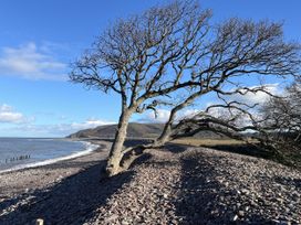 A tree near a beach with rocks and water at 3 Lowerbourne Terrace Porlock