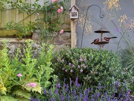 A garden with a bird feeder and flowers at 3 Lowerbourne Terrace Porlock