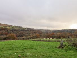 Meadowsweet - North Yorkshire (incl. Whitby) - 1039497 - thumbnail photo 40