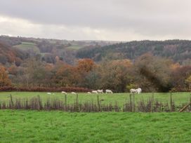 Meadowsweet - North Yorkshire (incl. Whitby) - 1039497 - thumbnail photo 42