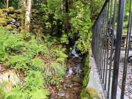 A stream with ferns and rocks near a fence at Underheron in Grasmere