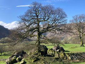A tree with bare branches and rocks in a field at Beck Steps Chapel Stile