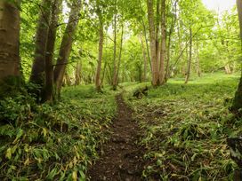 A wooded path through trees and grass at Durham Bridge Barn in Crosthwaite