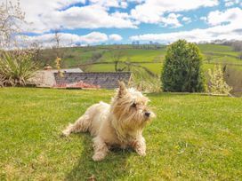 A dog lying on grass with hills and cloudy sky at The Rhiw in Llanfair Caereinion