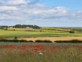 Beech Cottage - North Yorkshire (incl. Whitby) - 1046015 - thumbnail photo 19