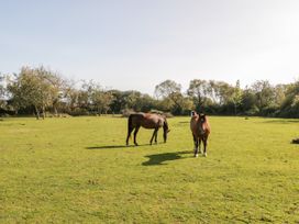 Penllyn - Anglesey - 1046070 - thumbnail photo 22