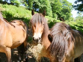 Higher Bumsley Barn - Devon - 1046399 - thumbnail photo 22