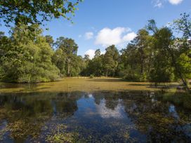 Pine Tree - Northumberland - 1046566 - thumbnail photo 33