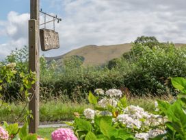 The Big Dingle - Shropshire - 1046960 - thumbnail photo 33