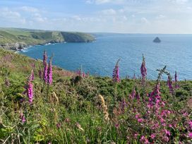 Merlins Cottage - Cornwall - 1048526 - thumbnail photo 59