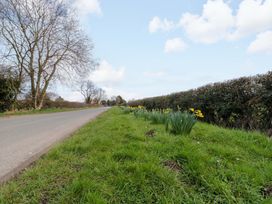 A roadside with grass and daffodils at The Stables in Little Kelk near Bridlington