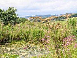 Callow Fold - Shropshire - 1049678 - thumbnail photo 20