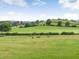 Ingleborough View - Lake District - 1050551 - thumbnail photo 27