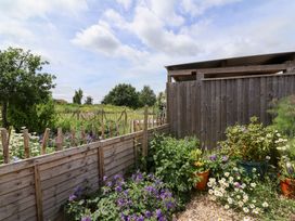A garden with flowers and a wooden fence at Tiny Willow in Farrington near Child Okeford