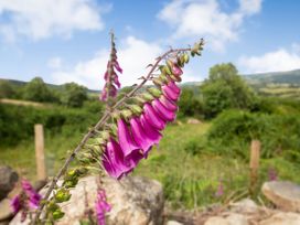 Pant Yr Iwrch - North Wales - 1050855 - thumbnail photo 22