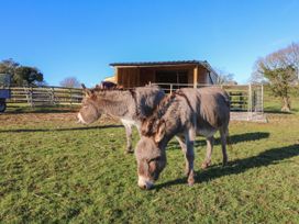 Langdale Barn - Devon - 1050940 - thumbnail photo 24