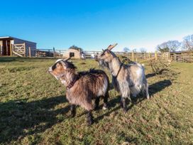 Langdale Barn - Devon - 1050940 - thumbnail photo 25