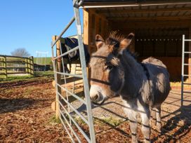 Langdale Barn - Devon - 1050940 - thumbnail photo 26