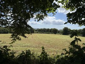 A view of a field surrounded by trees at Hembry Meadows near Gunnislake