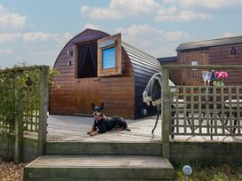 A wooden cabin with a dog on the deck at Embden Pod at Banwy Glamping Llanfair Caereinion