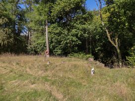 A dog near grass and trees with a water buoy at Embden Pod at Banwy Glamping Llanfair Caereinion