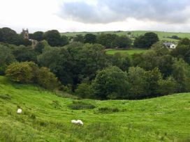 Hemingway Cottage - Yorkshire Dales - 1053151 - thumbnail photo 26