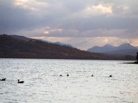 MacGregor - Scottish Lowlands - 1053464 - thumbnail photo 15