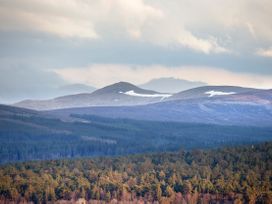 MacGregor - Scottish Lowlands - 1053464 - thumbnail photo 16