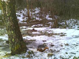 Rowan House - Scottish Highlands - 1053530 - thumbnail photo 38