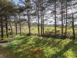 A view of trees and grass with a path at Redwood in Harlech