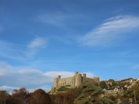 A castle on a hill surrounded by trees and houses at Redwood, Harlech