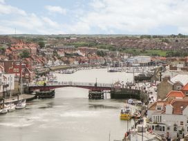 Laridae - North Yorkshire (incl. Whitby) - 1054262 - thumbnail photo 22