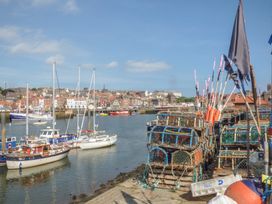 Laridae - North Yorkshire (incl. Whitby) - 1054262 - thumbnail photo 23