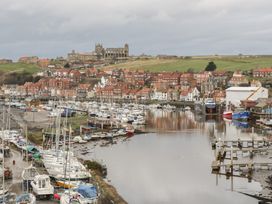 Laridae - North Yorkshire (incl. Whitby) - 1054262 - thumbnail photo 24